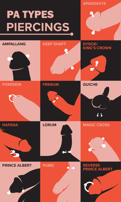 Prince Albert Piercing Jewelry, (2pcs) Ball Closure Ring and Circular Barbell 8G to 00G Big Gauge Large Size PA Ring