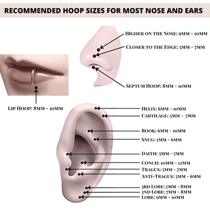 Segment Septum Ring, Hinged Nose Ring - 20G 18G 16G 14G 12G 10G 8G 00G - 6mm to 16mm