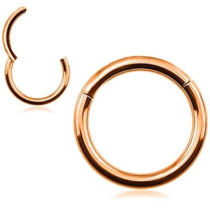 Segment Septum Ring, Hinged Nose Ring - 20G 18G 16G 14G 12G 10G 8G 00G - 6mm to 16mm