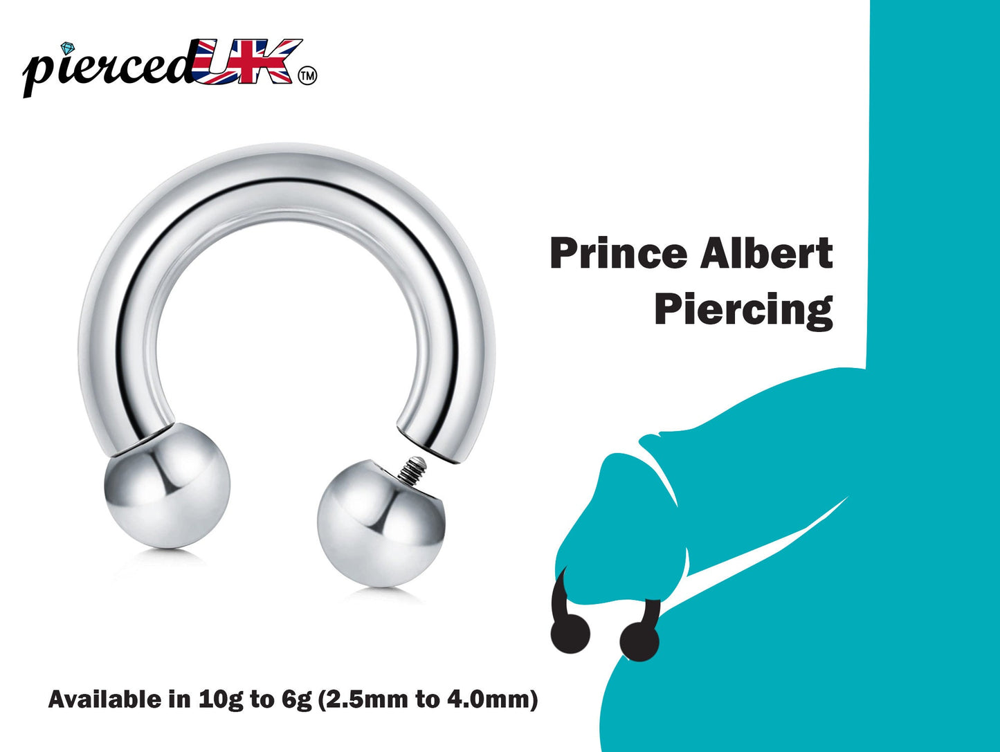 Prince Albert Piercing, Circular Barbell Ring – Horseshoe Piercings for Genital, Septum Ring, Lip, Nipple Ring and more – Gauge 10g to 6g