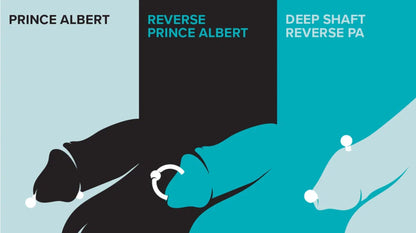 Prince Albert Piercing, Circular Barbell Ring – Horseshoe Piercings for Genital, Septum Ring, Lip, Nipple Ring and more – Gauge 10g to 6g