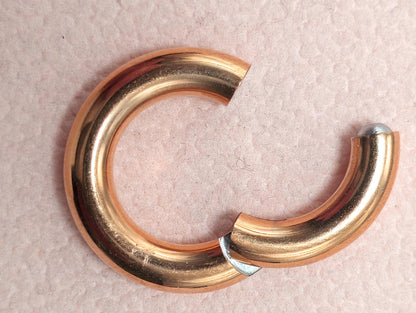 Titanium Prince Albert Piercing Segment Ring 12G 10G 8G 6G 4G 2G 1G 0G 00G Body Jewellery for Male Genitals, Nose Hoop - 1pc each order