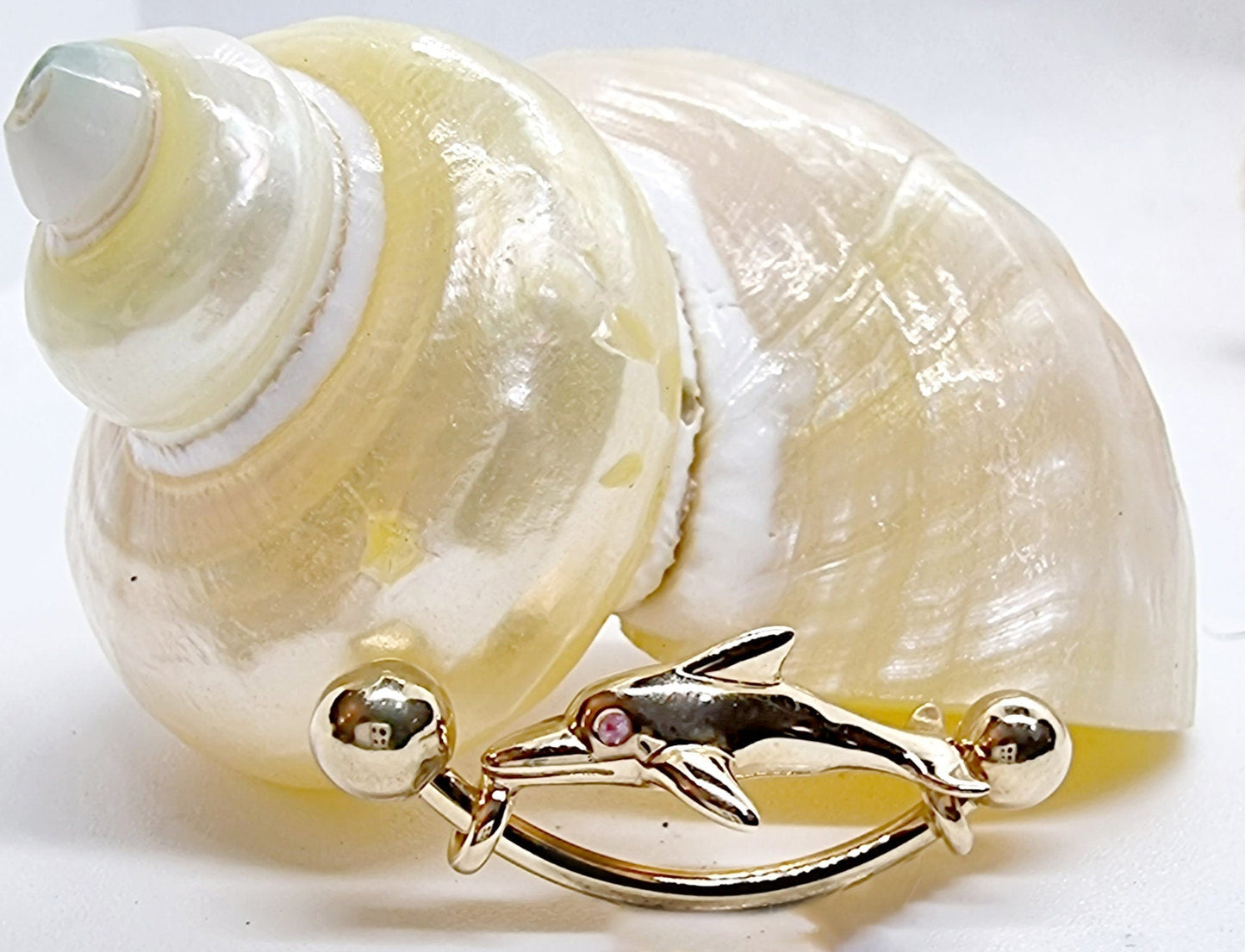 14K Gold Belly Bar- Solid Gold Dolphin Belly Button Ring - 14g Belly Ring Length is 16mm - Finest Quality Gold Body Piercing Jewelry