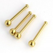 Nose Studs and Rings (1)